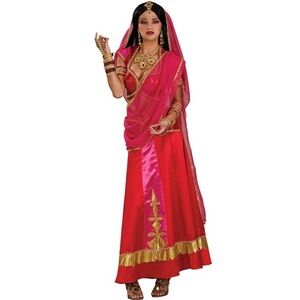Bollywood Beauty Adult Halloween Costume